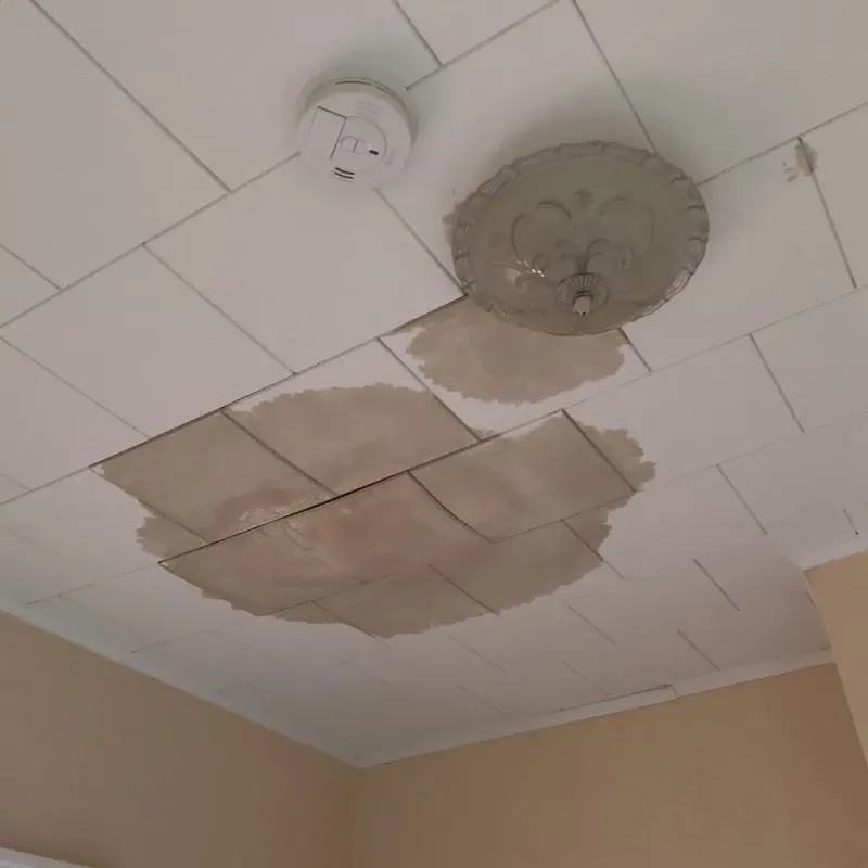 Ceiling Water Damage Repair in Milton, WV