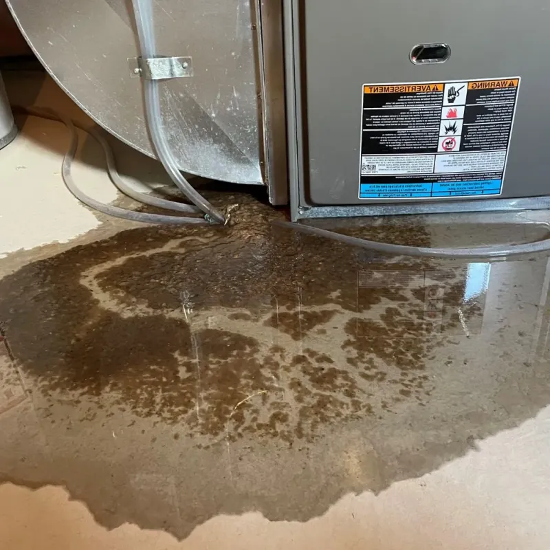 Pipe Burst and Leak Restoration in Milton, WV