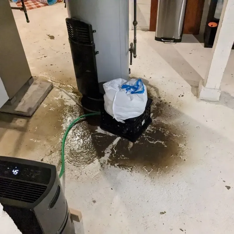 Sewage Backup Cleanup Service in Milton, WV